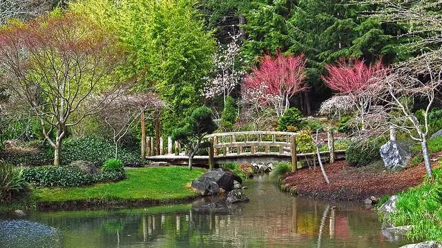 Pond and footbridge in the Choshi Gardens at Mingus Park